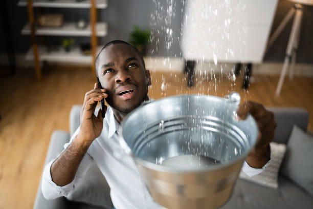 Best Fire Damage Restoration  in Linden, CA