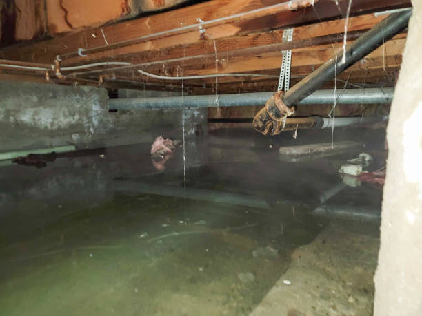 Best Water damage restoration near me  in Linden, CA