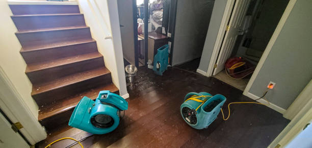 Best Professional water damage repair  in Linden, CA