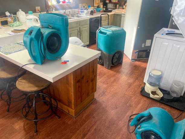 Best Carpet water damage restoration  in Linden, CA