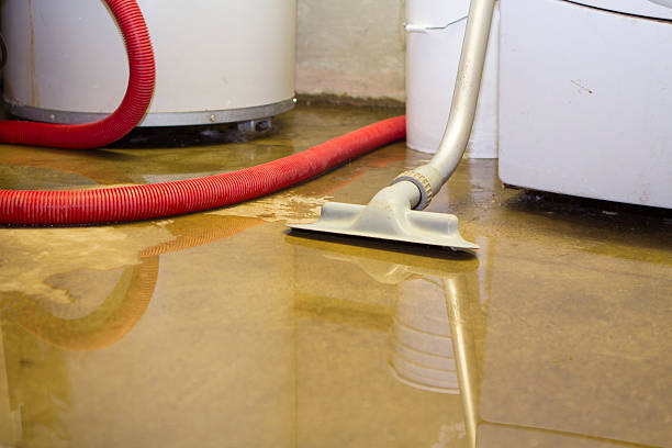 Best Flooded house restoration  in Linden, CA