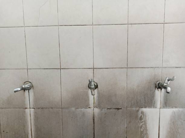 Best Water damage contractors near me  in Linden, CA