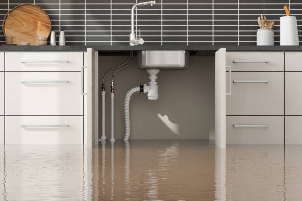 Best Residential water damage restoration  in Linden, CA