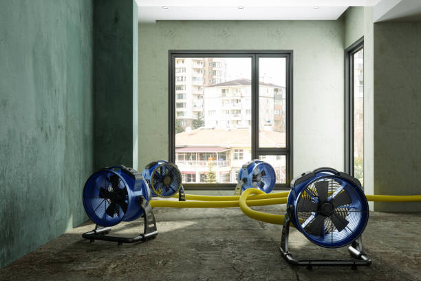 Best Ceiling water damage repair  in Linden, CA