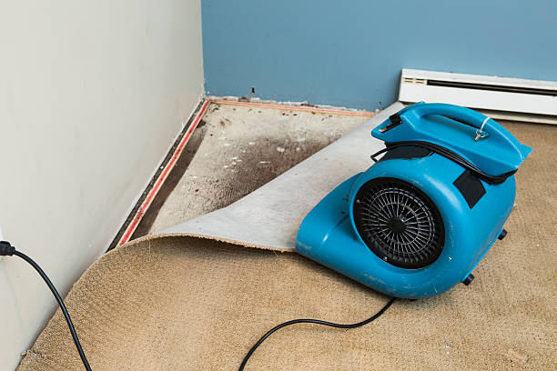 Best Residential water damage restoration  in Linden, CA